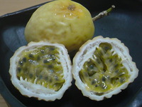 黄色いパッションフルーツ