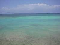 浜シタンの浜