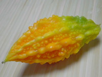 ゴーヤと過ごした夏（特別編）
