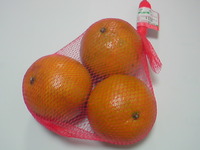 たんかんの季節