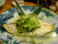 お魚満喫♪