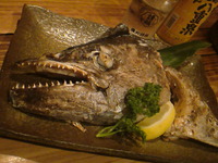 今夜もあがんで