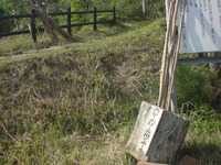 大岳の登山道