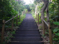 大岳の登山道