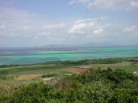 八重山のてんぶす