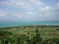 八重山のてんぶす