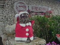 忘れていたメリークリスマス