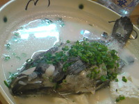 マグロ三昧