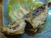 名護の夜は更けて