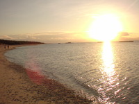 今日もきれいな夕日が