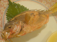 ☆石垣ナイト☆