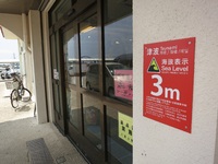 離島ターミナルは海抜3m
