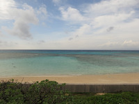 嵐前のニシ浜かな