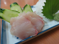 名前も知らない魚ですから