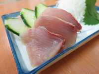 名前も知らない魚ですから