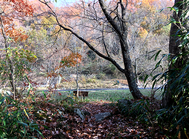 【アウトドア】晩秋の東近江、愛郷(あいきょう)の森で貸し切りキャンプ？？？