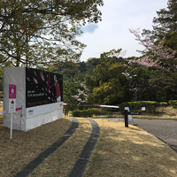 【スポーツ観戦】ヤマハレディースオープン葛城2022 2022/04/02 23:00:00