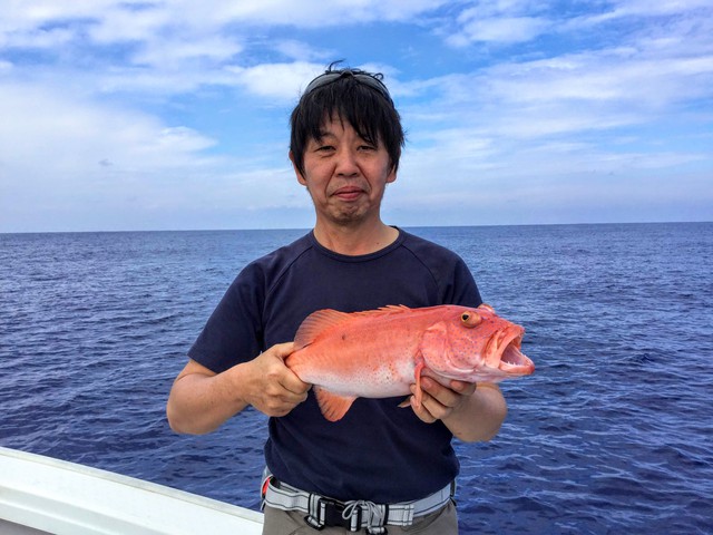 ライトジギング