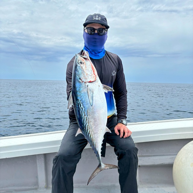 ジギング・テンヤ釣り