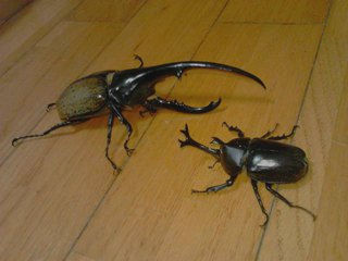 (*^▽^)/今月も､おもいっきり楽しく頑張りますよー♪