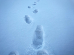 雪景色