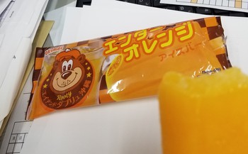 お弁当と夕ご飯とおやつなど。