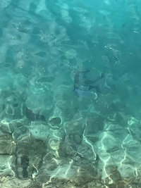 トカジャー恐怖症に(⁎ ́ ̥̥̥̥̥॰ଳ ̀⁎) 2017/05/04 10:54:39