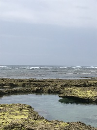 海・海・海だーーー 2017/05/15 11:59:52