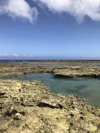 釣行断念・・・が❗️ワープ 2017/06/12 12:10:51