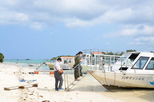 川平湾に行ったら水中観察しよう！