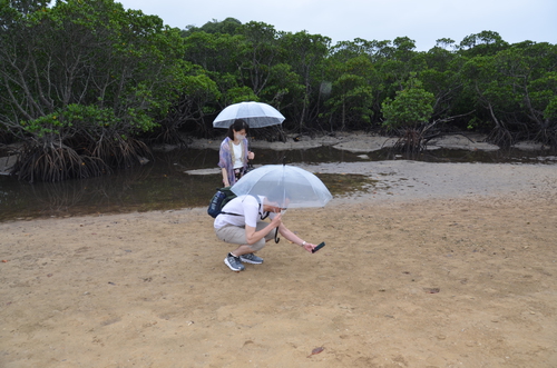 雨でも楽しめる石垣島