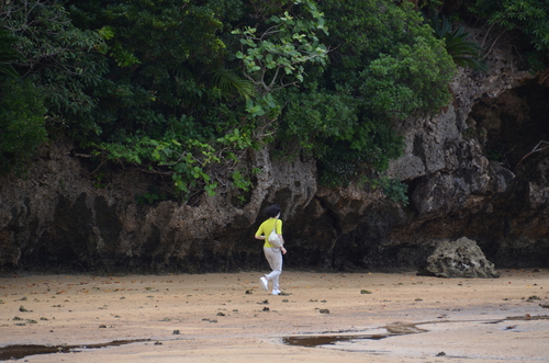 石垣島の穴場巡り！