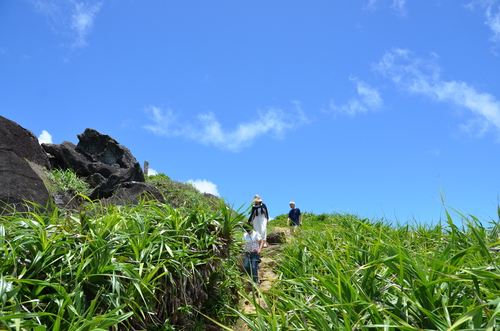 石垣島の穴場は険しいし痛いのだ。