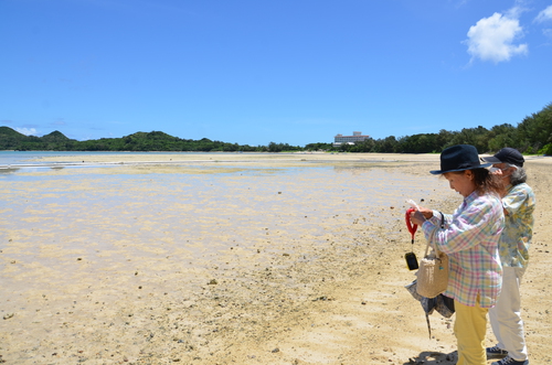 石垣島は北へ行けば行くほど海がきれいです。