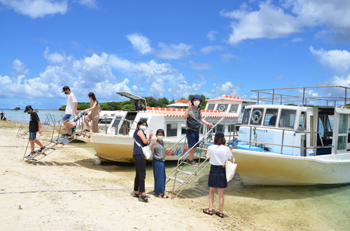 川平湾は海ガメがいっぱい！