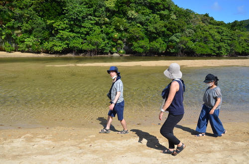 石垣島は川も面白い！