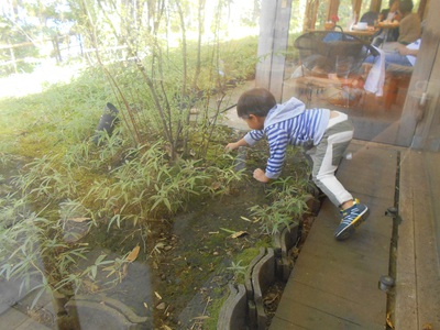 九州旅行記 庭遊びを満喫 リピートしたい旅館 玉の湯 伊敷聡子の四季折々日記