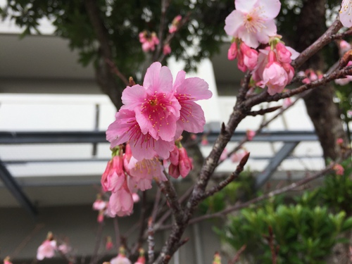 コンクリート打設日変更のお知らせ