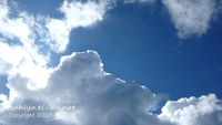 ９月青い海と空　ヤンバルの生き物たち