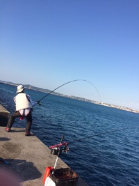 釣り納めと釣りはじめ