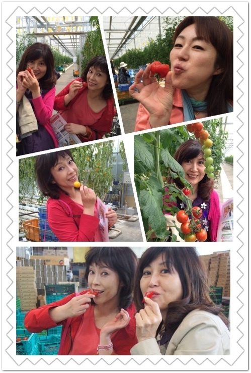 トマト食べよう@とまとランドいわき＊上野潤子