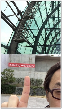 アクアマリンふくしま＊いしたにまさきFrontback