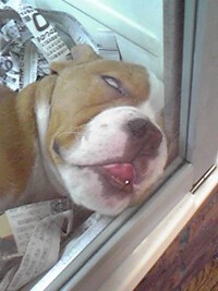 寒いですね。