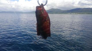 ２人とも[旅猿]に感化されすぎ・・・