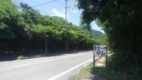 食べログなのに沖縄の怖い話？！
