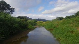 たまには川遊びでも