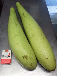 ちぶる！ 2012/09/02 17:59:13