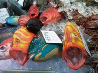 極彩飾な魚たち 2012/05/08 16:18:31