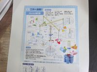 ヤクルト　ジョアのチラシの裏に