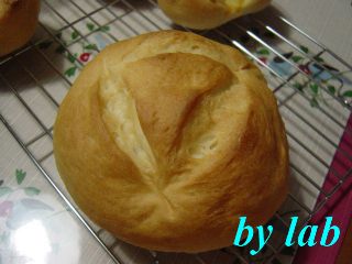 ミニかんぱーにゅ（風）